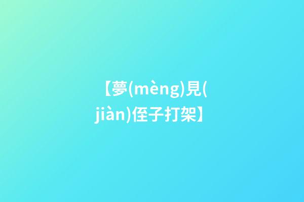 【夢(mèng)見(jiàn)侄子打架】
