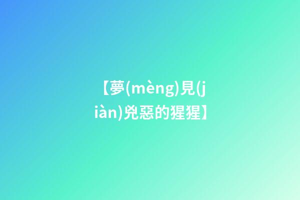 【夢(mèng)見(jiàn)兇惡的猩猩】