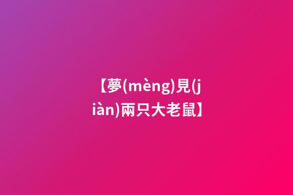 【夢(mèng)見(jiàn)兩只大老鼠】