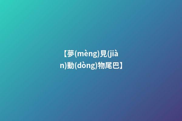【夢(mèng)見(jiàn)動(dòng)物尾巴】