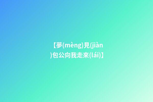 【夢(mèng)見(jiàn)包公向我走來(lái)】