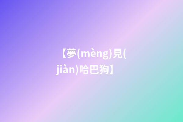 【夢(mèng)見(jiàn)哈巴狗】