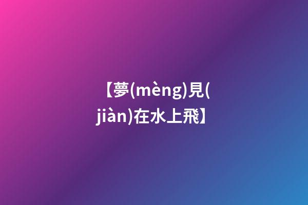 【夢(mèng)見(jiàn)在水上飛】