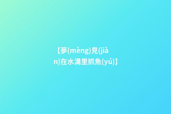 【夢(mèng)見(jiàn)在水溝里抓魚(yú)】