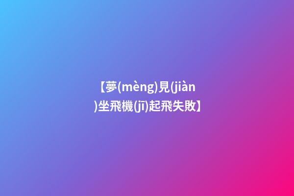 【夢(mèng)見(jiàn)坐飛機(jī)起飛失敗】