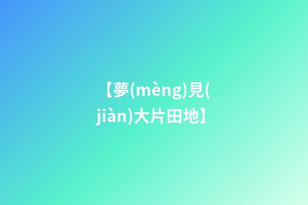 【夢(mèng)見(jiàn)大片田地】