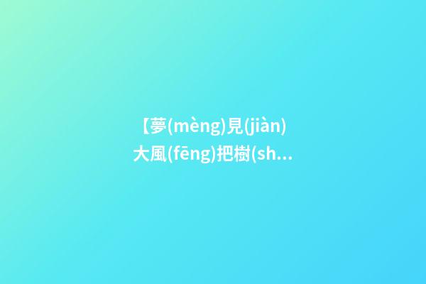 【夢(mèng)見(jiàn)大風(fēng)把樹(shù)刮斷】