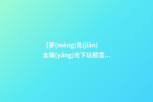 【夢(mèng)見(jiàn)太陽(yáng)光下玩積雪】