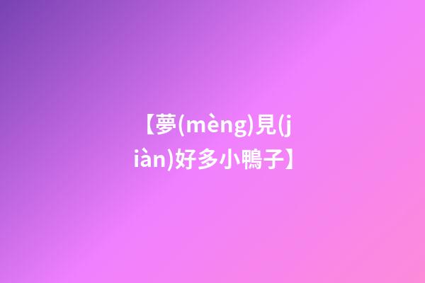 【夢(mèng)見(jiàn)好多小鴨子】