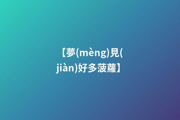 【夢(mèng)見(jiàn)好多菠蘿】