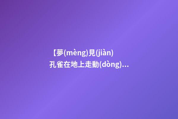 【夢(mèng)見(jiàn)孔雀在地上走動(dòng)】