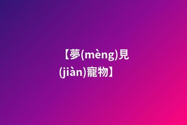 【夢(mèng)見(jiàn)寵物】