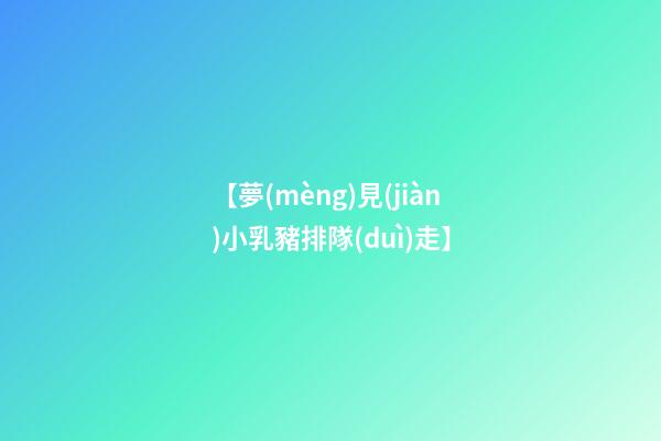 【夢(mèng)見(jiàn)小乳豬排隊(duì)走】