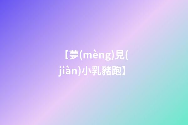 【夢(mèng)見(jiàn)小乳豬跑】
