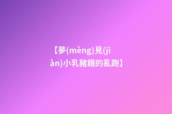 【夢(mèng)見(jiàn)小乳豬餓的亂跑】
