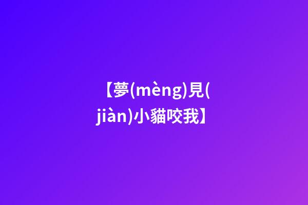 【夢(mèng)見(jiàn)小貓咬我】