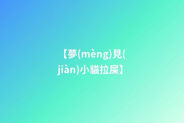 【夢(mèng)見(jiàn)小貓拉屎】