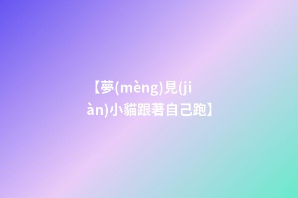【夢(mèng)見(jiàn)小貓跟著自己跑】