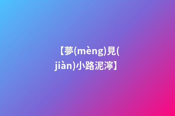 【夢(mèng)見(jiàn)小路泥濘】