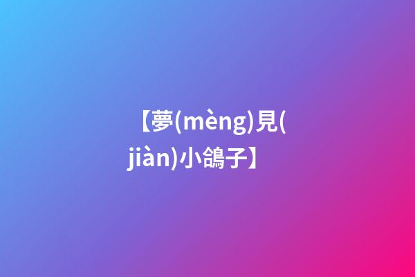 【夢(mèng)見(jiàn)小鴿子】