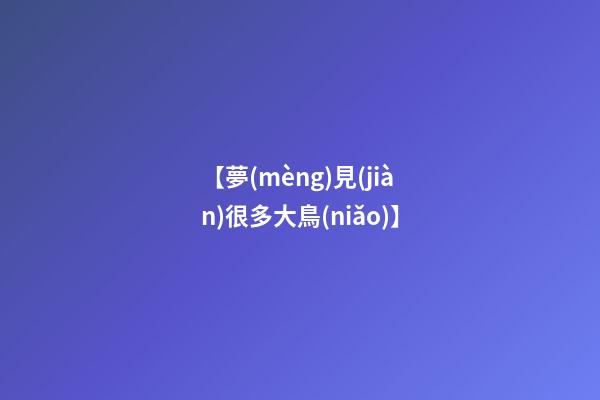 【夢(mèng)見(jiàn)很多大鳥(niǎo)】