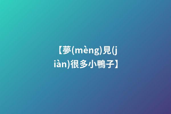 【夢(mèng)見(jiàn)很多小鴨子】