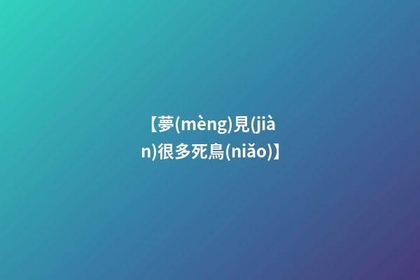 【夢(mèng)見(jiàn)很多死鳥(niǎo)】