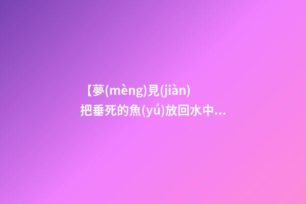 【夢(mèng)見(jiàn)把垂死的魚(yú)放回水中】
