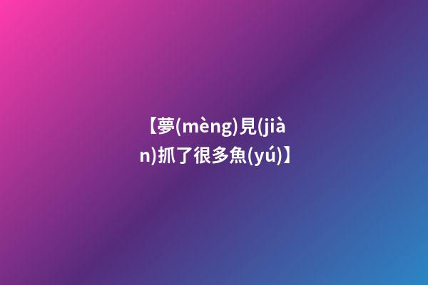 【夢(mèng)見(jiàn)抓了很多魚(yú)】