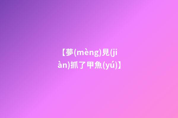 【夢(mèng)見(jiàn)抓了甲魚(yú)】