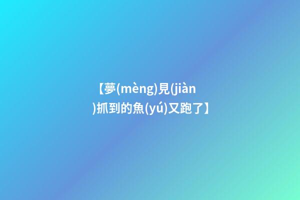【夢(mèng)見(jiàn)抓到的魚(yú)又跑了】
