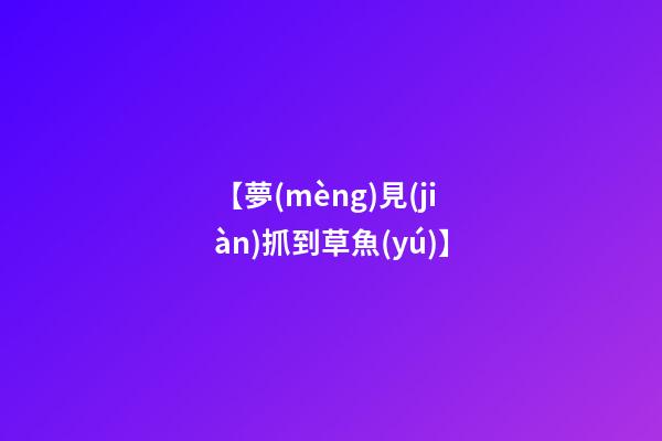 【夢(mèng)見(jiàn)抓到草魚(yú)】