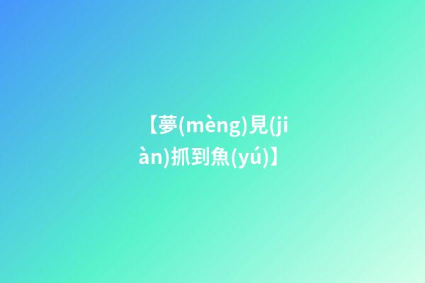 【夢(mèng)見(jiàn)抓到魚(yú)】