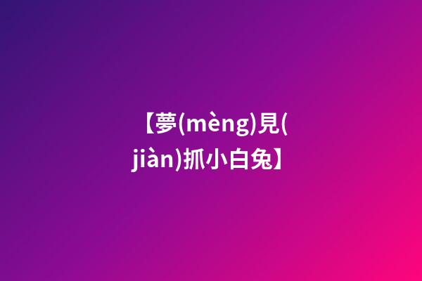 【夢(mèng)見(jiàn)抓小白兔】