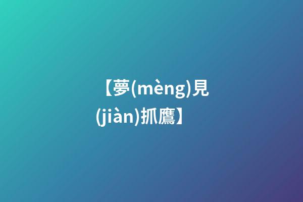 【夢(mèng)見(jiàn)抓鷹】