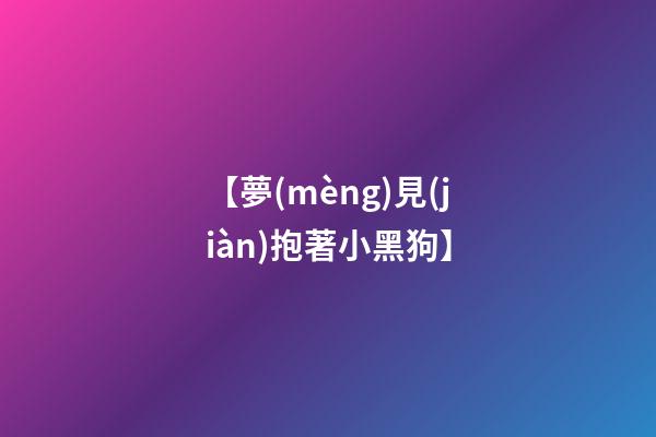 【夢(mèng)見(jiàn)抱著小黑狗】