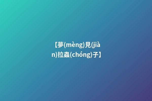 【夢(mèng)見(jiàn)拉蟲(chóng)子】