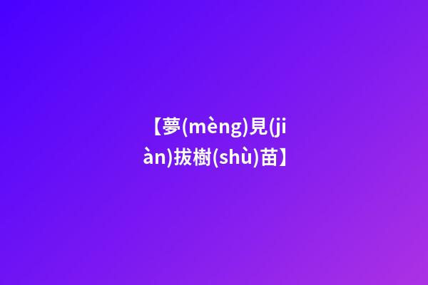【夢(mèng)見(jiàn)拔樹(shù)苗】
