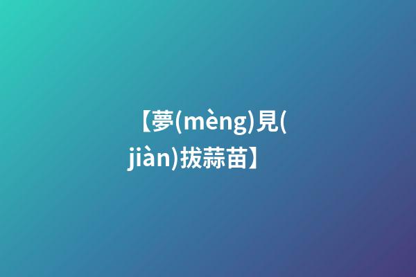 【夢(mèng)見(jiàn)拔蒜苗】