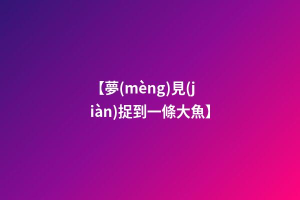 【夢(mèng)見(jiàn)捉到一條大魚】
