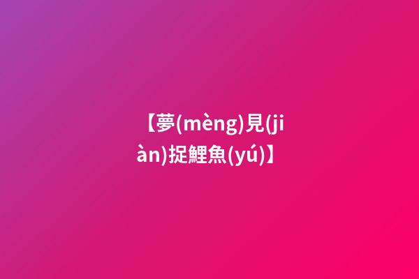 【夢(mèng)見(jiàn)捉鯉魚(yú)】