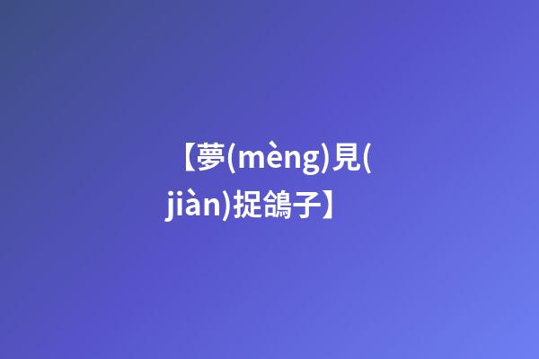 【夢(mèng)見(jiàn)捉鴿子】