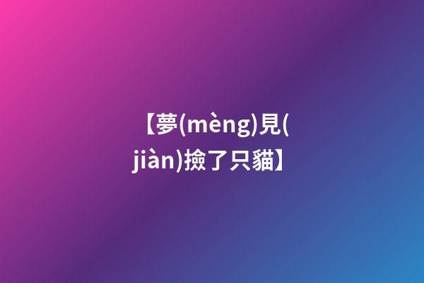 【夢(mèng)見(jiàn)撿了只貓】