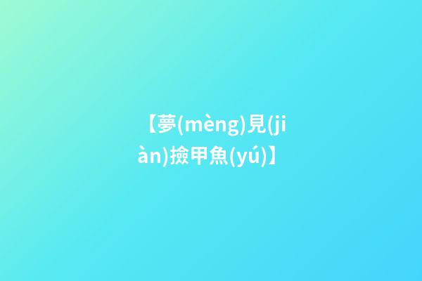 【夢(mèng)見(jiàn)撿甲魚(yú)】