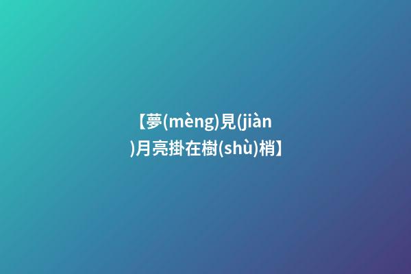 【夢(mèng)見(jiàn)月亮掛在樹(shù)梢】