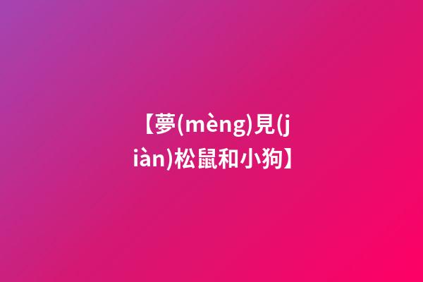 【夢(mèng)見(jiàn)松鼠和小狗】