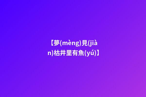 【夢(mèng)見(jiàn)枯井里有魚(yú)】