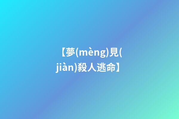 【夢(mèng)見(jiàn)殺人逃命】