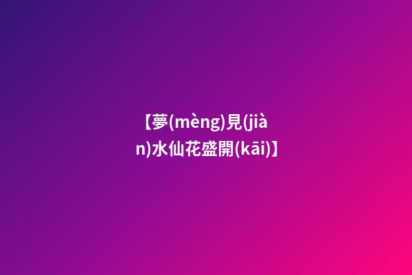 【夢(mèng)見(jiàn)水仙花盛開(kāi)】