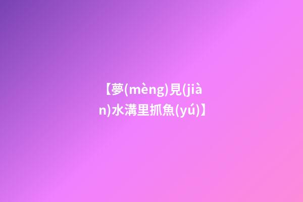 【夢(mèng)見(jiàn)水溝里抓魚(yú)】